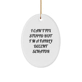 Funny Senator Oval Ornament Gifts from Friends for Senator, Oval Ornament I'm A Fairly Decent Senator Christmas Unique Gifts - Image 1